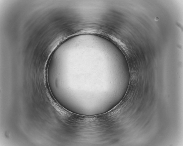 X0000093381423200710251206