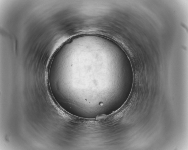 X0000093381424200710251206