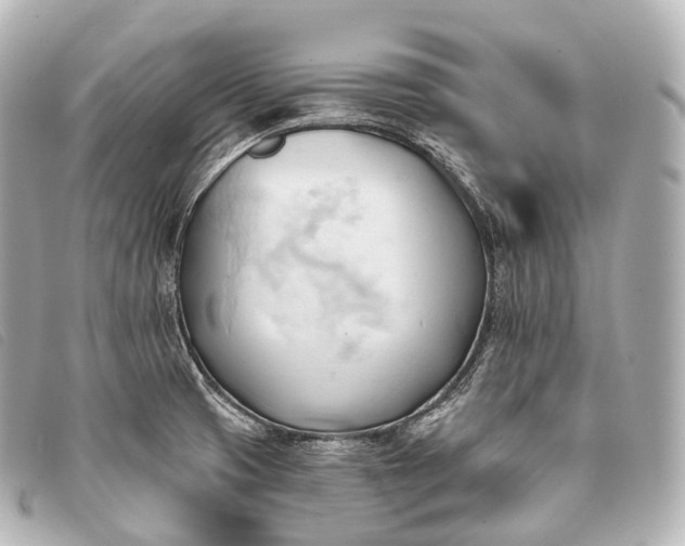 X0000093381425200710251206