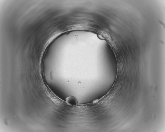 X0000093381427200710251206