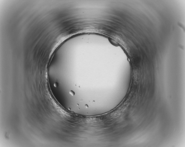 X0000093381428200710251207