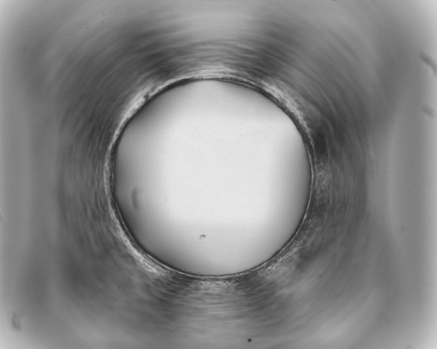 X0000093381429200710251207