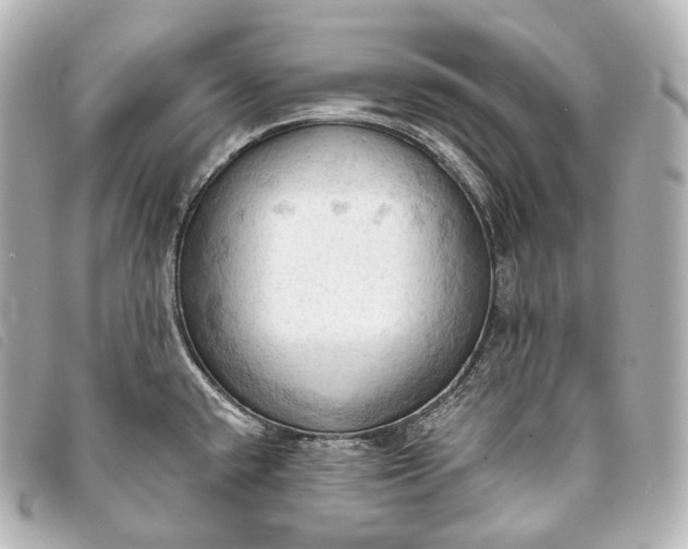 X0000093381432200710251207