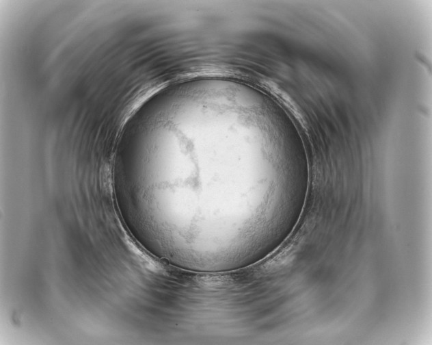 X0000093381433200710251207