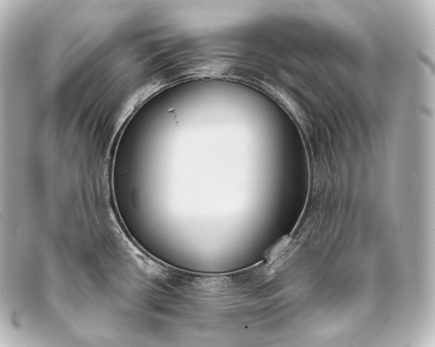 X0000093381434200710251207