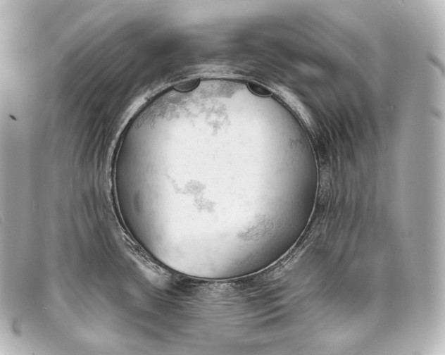 X0000093381435200710251207