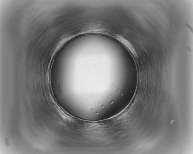 X0000093381436200710251207