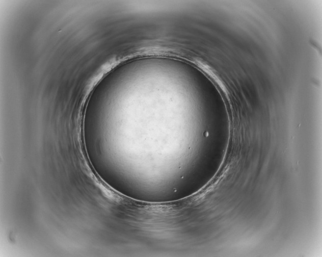 X0000093381437200710251207