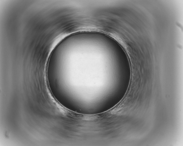 X0000093381440200710251207