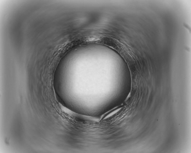 X0000093381441200710251206