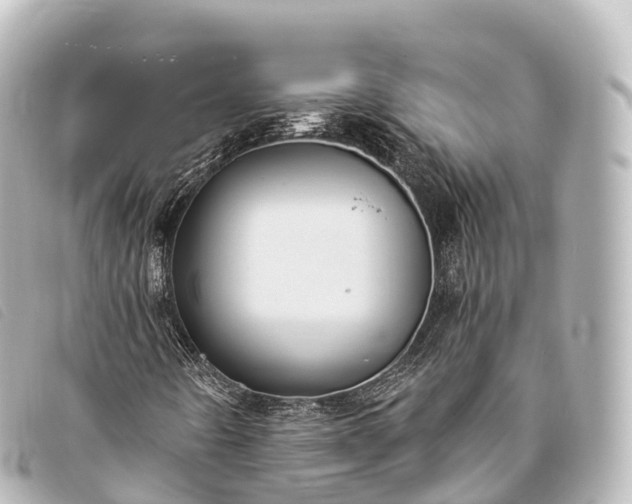 X0000093381442200710251206