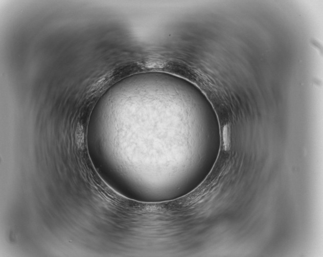 X0000093381443200710251206