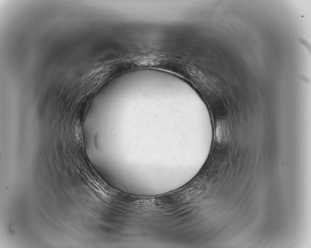 X0000093381444200710251206