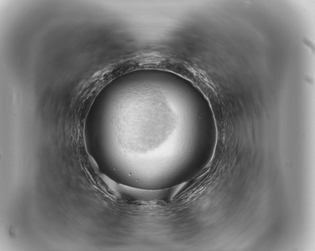 X0000093381445200710251206