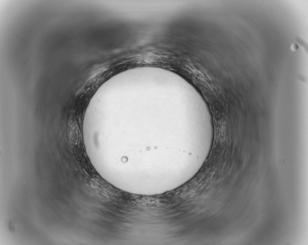 X0000093381446200710251206