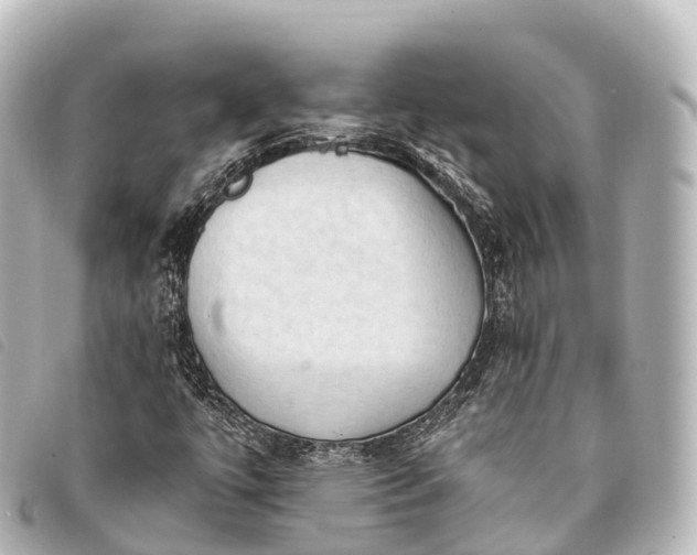 X0000093381447200710251206