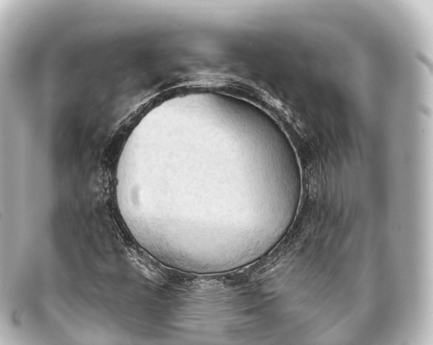 X0000093381448200710251206