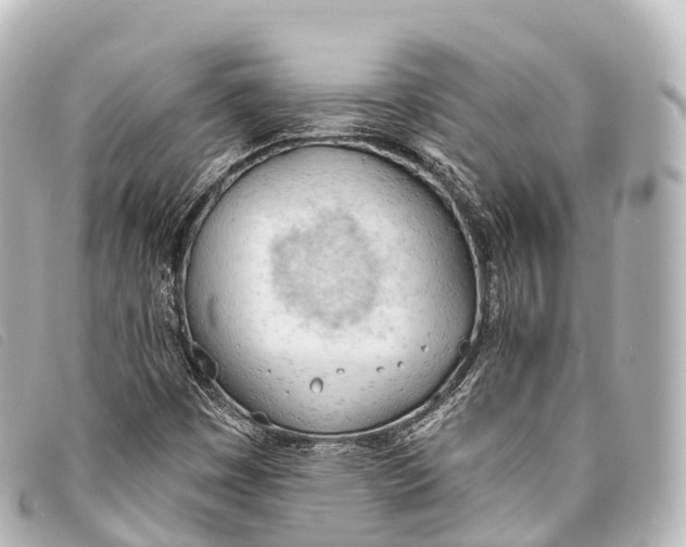 X0000093381449200710251206