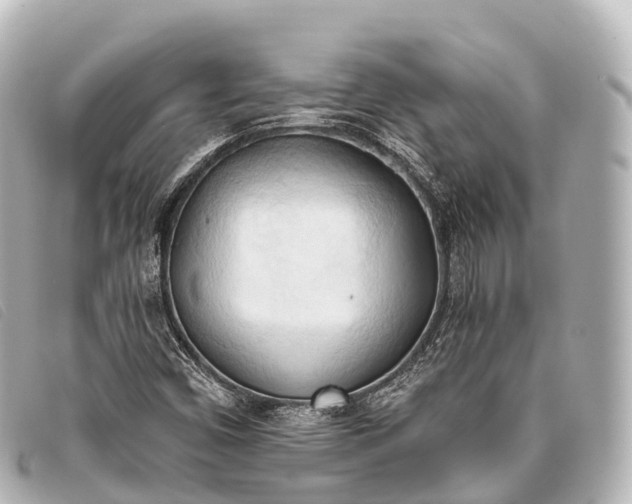 X0000093381450200710251206