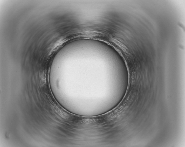 X0000093381451200710251206