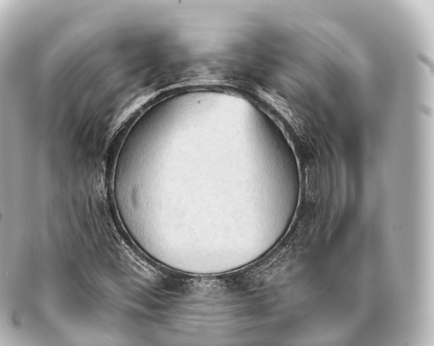 X0000093381452200710251206