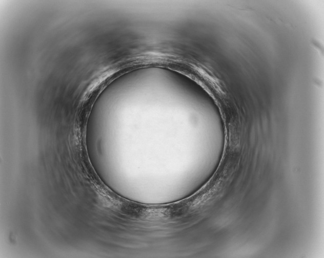 X0000093381453200710251206