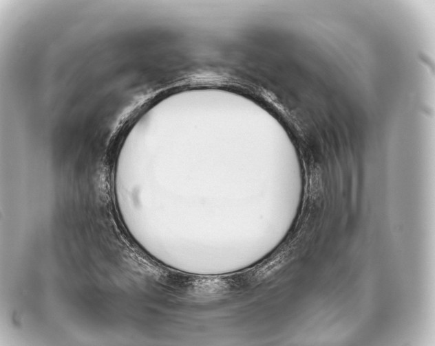 X0000093381454200710251206