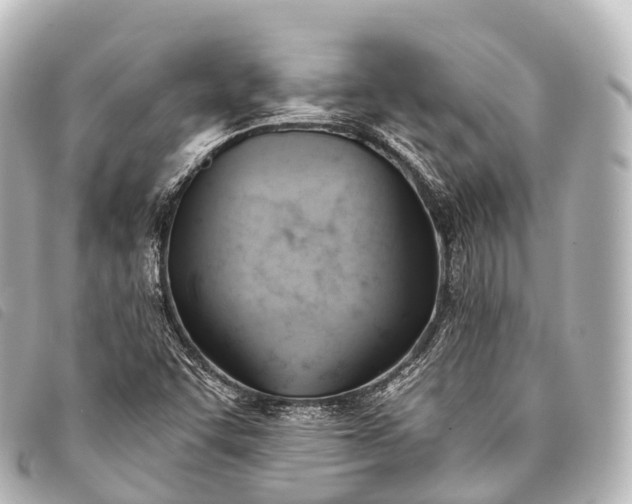 X0000093381455200710251206