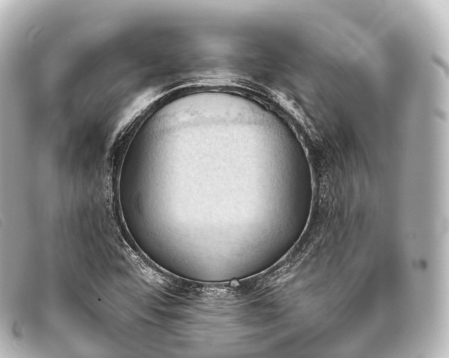 X0000093381456200710251206