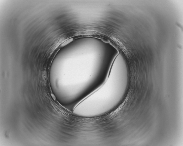 X0000093381457200710251206