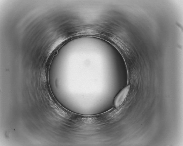 X0000093381458200710251206