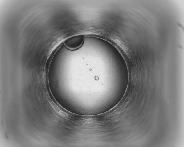 X0000093381460200710251206