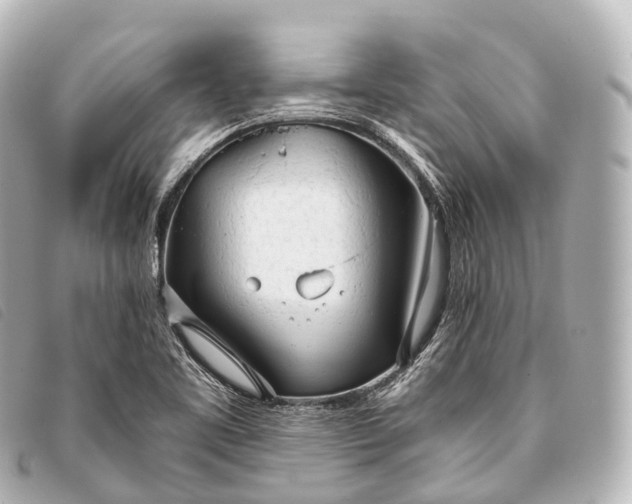 X0000093381461200710251206