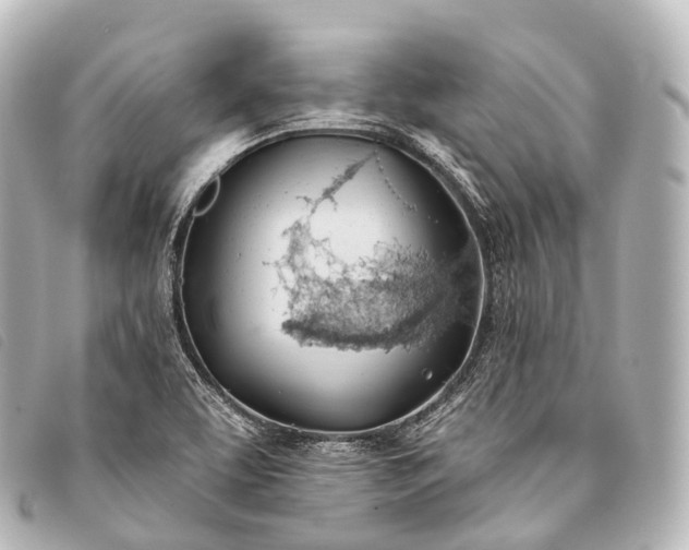 X0000093381463200710251206