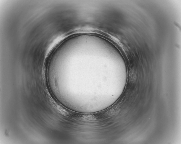 X0000093381464200710251206