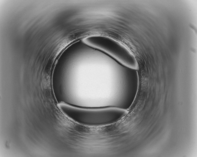 X0000093381465200710251206