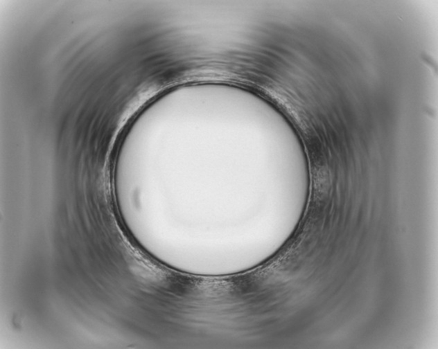 X0000093381466200710251205