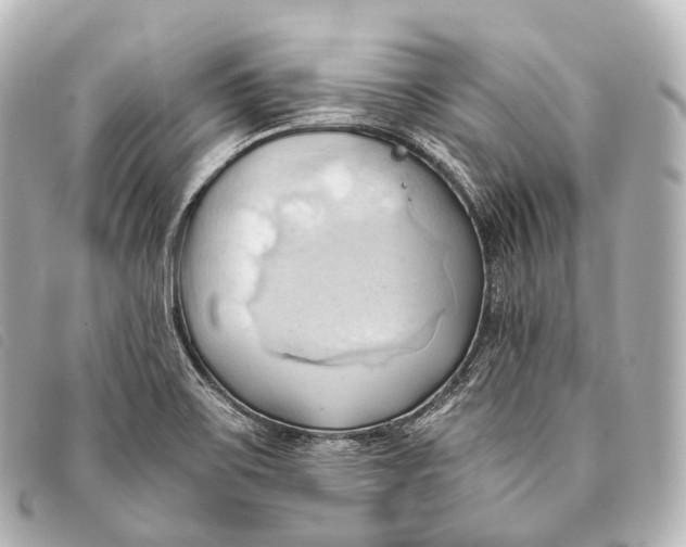 X0000093381467200710251205