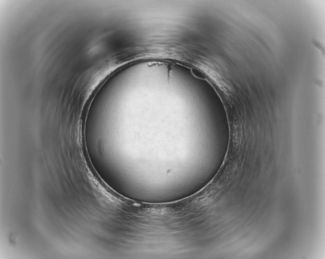 X0000093381468200710251205