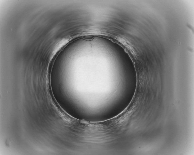 X0000093381469200710251205