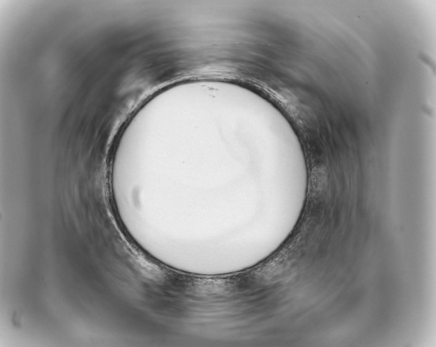 X0000093381470200710251205