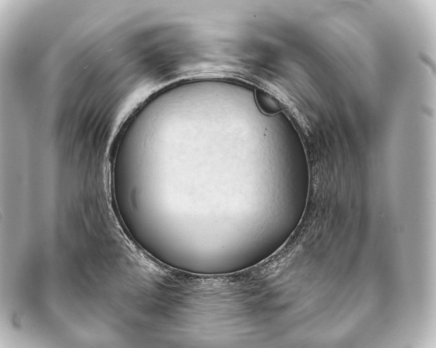 X0000093381472200710251205