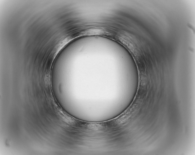 X0000093381473200710251205