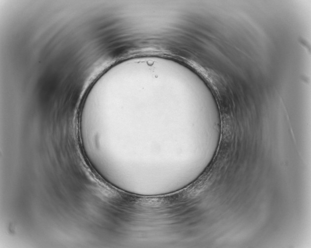 X0000093381474200710251205