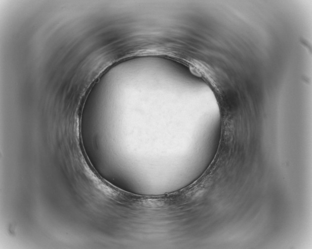 X0000093381476200710251205