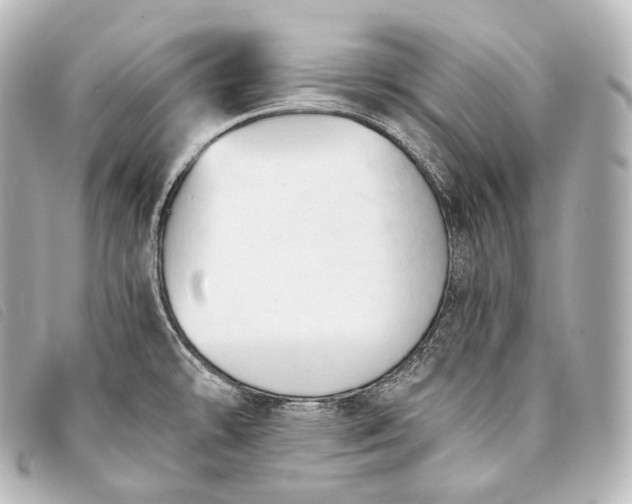 X0000093381478200710251205