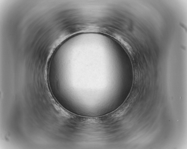 X0000093381480200710251205