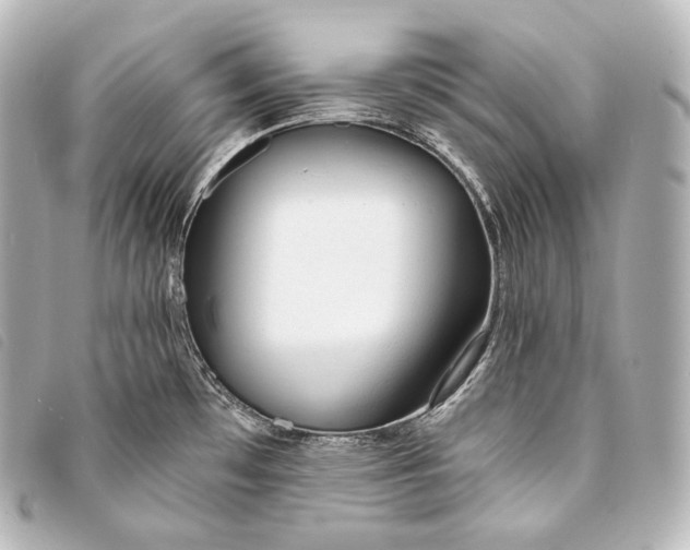 X0000093381481200710251205