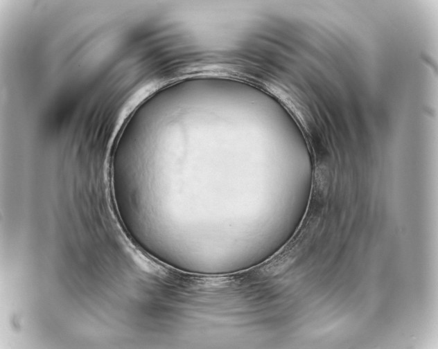 X0000093381482200710251205