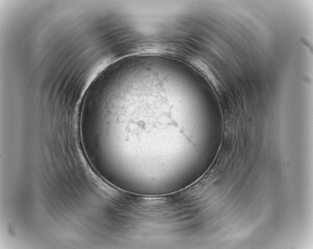 X0000093381483200710251205